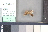  ( - A251a)  @11 [ ] nrr (2021) Catherine Hulshof VSU