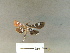  ( - M002b.1)  @11 [ ] nrr (2022) Aura M. Alonso-Rodríguez University of Vermont