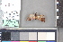  ( - M052e)  @11 [ ] nrr (2021) Catherine Hulshof VSU