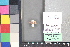  ( - M079b)  @11 [ ] nrr (2021) Catherine Hulshof VSU
