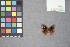  ( - MZUPRRP-In-08684)  @11 [ ] nrr (2021) Catherine Hulshof VSU