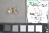  ( - MZUPRRP-In-15873)  @11 [ ] nrr (2021) Catherine Hulshof VSU