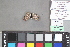  ( - MZUPRRP-In-15874)  @11 [ ] nrr (2021) Catherine Hulshof VSU