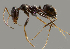  ( - 14014279-2025P1F1)  @11 [ ] Copyright (2025) Claude Lebas Claude Lebas