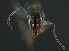  ( - 14014277-2025P1B1)  @11 [ ] Copyright (2025) Unspecified Claude Lebas