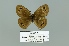  ( - Boz10.041)  @13 [ ] Copyright (2010) Unspecified Unspecified