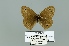  ( - Boz10.042)  @11 [ ] Copyright (2010) Unspecified Unspecified