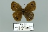  ( - Boz10.043)  @11 [ ] Copyright (2010) Unspecified Unspecified