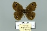 ( - Boz10.044)  @13 [ ] Copyright (2010) Unspecified Unspecified