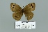  ( - Boz10.045)  @13 [ ] Copyright (2010) Unspecified Unspecified