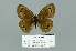  ( - Boz10.046)  @13 [ ] Copyright (2010) Unspecified Unspecified