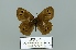  ( - Boz10.047)  @13 [ ] Copyright (2010) Unspecified Unspecified