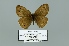  ( - Boz10.048)  @13 [ ] Copyright (2010) Unspecified Unspecified