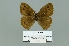  ( - Boz10.049)  @12 [ ] Copyright (2010) Unspecified Unspecified