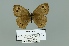  ( - Boz10.050)  @12 [ ] Copyright (2010) Unspecified Unspecified