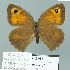  ( - Boz10.005)  @13 [ ] Copyright (2010) Unspecified Unspecified