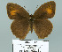  ( - Boz10.007)  @13 [ ] Copyright (2010) Unspecified Unspecified
