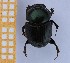  ( - EBLA_BC823)  @11 [ ] Unspecified (default): All Rights Reserved  Unspecified Unspecified