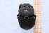  ( - EBLA_BC855)  @11 [ ] Unspecified (default): All Rights Reserved  Unspecified Unspecified