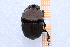  ( - EBLA_BC856)  @11 [ ] Unspecified (default): All Rights Reserved  Unspecified Unspecified