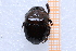  ( - EBLA_BC857)  @11 [ ] Unspecified (default): All Rights Reserved  Unspecified Unspecified