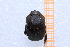  ( - EBLA_BC858)  @11 [ ] Unspecified (default): All Rights Reserved  Unspecified Unspecified