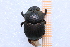  ( - EBLA_BC859)  @11 [ ] Unspecified (default): All Rights Reserved  Unspecified Unspecified