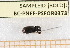  ( - BC-PNEF-PSFOR0378)  @12 [ ] Copyright (2013) Thierry Noblecourt Laboratoire National d'Entomologie Forestière, Quillan, France