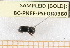  ( - BC-PNEF-PSFOR0380)  @12 [ ] Copyright (2013) Thierry Noblecourt Laboratoire National d'Entomologie Forestière, Quillan, France