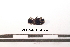  ( - PASSIFOR-NM13-010)  @12 [ ] Copyright (2014) Nicolas Moulin Nicolas Moulin Entomologiste