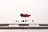  ( - PASSIFOR-NM13-022)  @13 [ ] Copyright (2014) Nicolas Moulin Nicolas Moulin Entomologiste