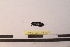  ( - PASSIFOR-NM13-057)  @11 [ ] Copyright (2014) Nicolas Moulin Nicolas Moulin Entomologiste