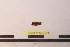  ( - PASSIFOR-NM13-075)  @12 [ ] Copyright (2014) Nicolas Moulin Nicolas Moulin Entomologiste