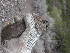  ( - CMIPLS195)  @11 [ ] Unspecified (default): All Rights Reserved  Paola L. Sassi IADIZA