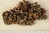  ( - ASU-L-0986)  @11 [ ] CreativeCommons - Attribution Share-Alike (2024) Unspecified Arizona State University
