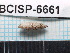  ( - SG-2013-212)  @12 [ ] CreativeCommons - Attribution Non-Commercial Share-Alike (2014) Sofia Gripenberg Oxford University
