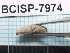 ( - SG-2013-224)  @11 [ ] CreativeCommons - Attribution Non-Commercial Share-Alike (2014) Sofia Gripenberg Oxford University