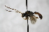  ( - PSPP-0007)  @11 [ ] CreativeCommons - Attribution Non-Commercial Share-Alike (2014) Olli-Pekka Tikkanen University of Eastern Finland
