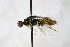  ( - PSPP-0037)  @11 [ ] CreativeCommons - Attribution Non-Commercial Share-Alike (2014) Olli-Pekka Tikkanen University of Eastern Finland