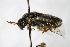  ( - PSPP-0038)  @11 [ ] CreativeCommons - Attribution Non-Commercial Share-Alike (2014) Olli-Pekka Tikkanen University of Eastern Finland