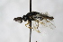  ( - PSPP-0042)  @13 [ ] CreativeCommons - Attribution Non-Commercial Share-Alike (2014) Olli-Pekka Tikkanen University of Eastern Finland