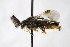  ( - PSPP-0043)  @11 [ ] CreativeCommons - Attribution Non-Commercial Share-Alike (2014) Olli-Pekka Tikkanen University of Eastern Finland