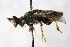  ( - PSPP-0044)  @14 [ ] CreativeCommons - Attribution Non-Commercial Share-Alike (2014) Olli-Pekka Tikkanen University of Eastern Finland