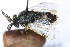  ( - PSPP-0044)  @13 [ ] CreativeCommons - Attribution Non-Commercial Share-Alike (2014) Olli-Pekka Tikkanen University of Eastern Finland