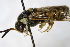  ( - PSPP-0045)  @11 [ ] CreativeCommons - Attribution Non-Commercial Share-Alike (2014) Olli-Pekka Tikkanen University of Eastern Finland