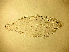  ( - PSYKO06)  @12 [ ] CreativeCommons - Attribution Non-Commercial Share-Alike (2019) Jérôme Albre University of Corsica