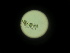 ( - PSYKO12)  @11 [ ] CreativeCommons - Attribution Non-Commercial Share-Alike (2019) Jerome Albre University of Corsica