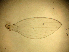  ( - PSYKO02)  @12 [ ] CreativeCommons - Attribution Non-Commercial Share-Alike (2019) Jérôme Albre University of Corsica