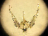  ( - PSYKO02)  @12 [ ] CreativeCommons - Attribution Non-Commercial Share-Alike (2019) Jérôme Albre University of Corsica