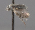  ( - CNC487126)  @12 [ ] No Rights Reserved (2016) Unspecified CNC